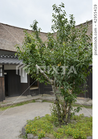 [Nagasaki] Samurai residence in the castle town of Shimabara 42955419