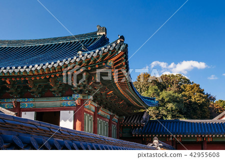 Old building of Changdeokgung Palace, Seoul, Korea Old building of Changdeokgung Palace, Seoul, Korea 42955608
