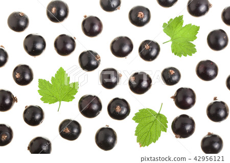 black currant with leaf isolated on white background. Top view. Flat lay pattern black currant with leaf isolated on white background. Top view. Flat lay pattern 42956121