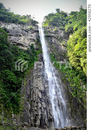 和歌山的那智瀑布 42956270