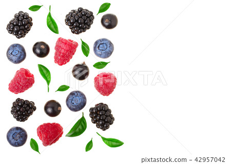 blackberry blueberry raspberry black currant isolated on white background with copy space for your 42957042