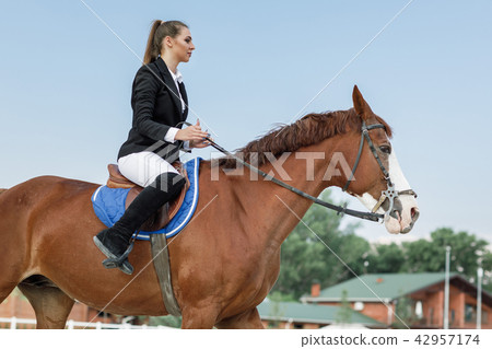 Rider elegant woman riding her horse outside 42957174