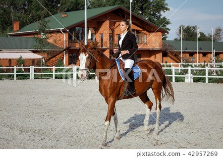 Rider elegant woman riding her horse outside Rider elegant woman riding her horse outside 42957269