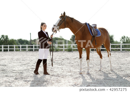 Rider elegant woman riding her horse outside Rider elegant woman riding her horse outside 42957275