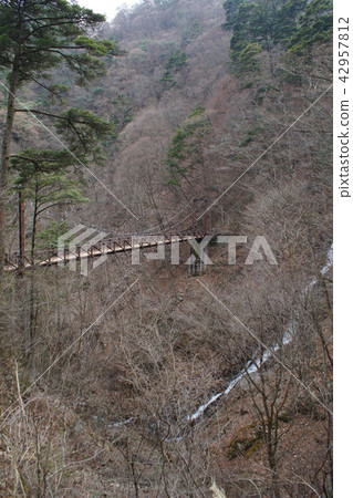 Nishitama郡Hinohara村早春的Mihachi Otaki和Takimi Bridge Nishitama郡Hinohara村早春的Mihachi Otaki和Takimi Bridge 42957812
