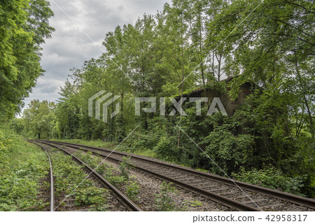 Abandoned house near a railway Abandoned house near a railway 42958317