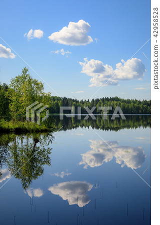 Sky reflects from lake at summer day 42958528
