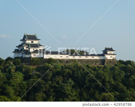 和歌山城 42958786