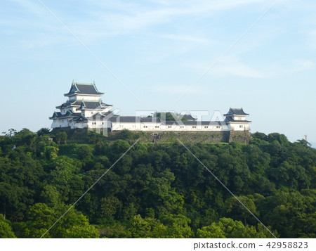 Wakayama Castle Wakayama Castle 42958823