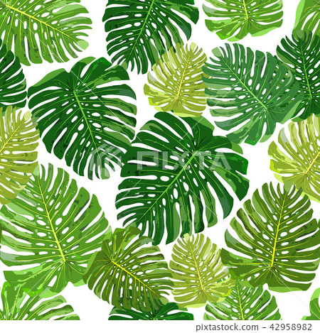 Tropical leaves seamless pattern colorful isolated hand drawn pl 42958982