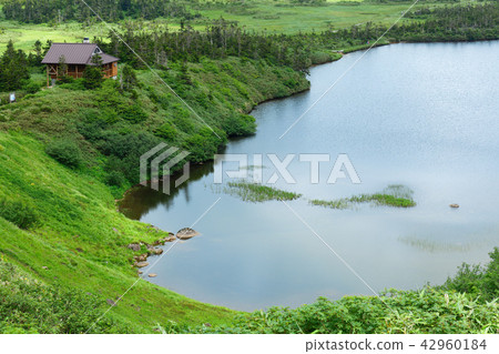 岩手縣八幡平和Miyama Hotarui八幡平市 42960184
