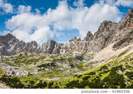 National Park panorama and Dolomiti mountains 42960306