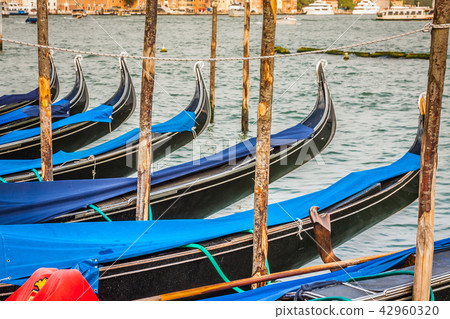 Gondolas moored by Saint Mark square. Venice 42960320