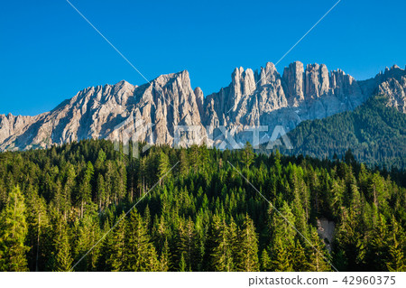 Peak of latemar in South Tyrol,Dolomite, Italy 42960375
