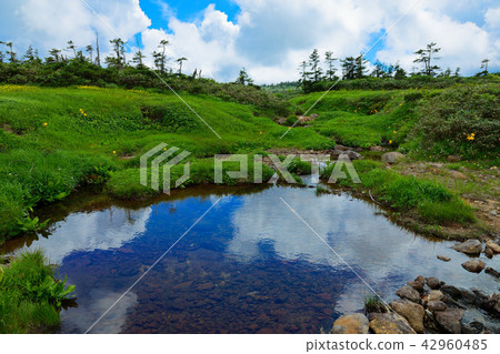 Hachimantai Mogara Creek和Ikeda以及Nikko Kishge等岩手縣八幡平市 42960485