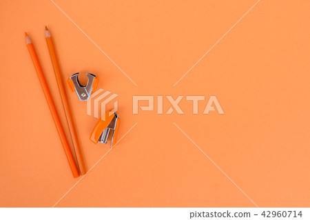 back to school back to school 42960714