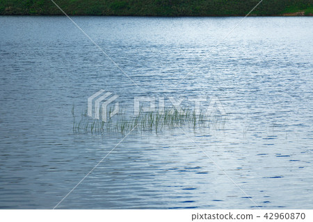 Yawatauma和Miyama Hotarui Yawatauma和Miyama Hotarui 42960870