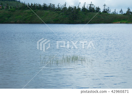 Yawatauma和Miyama Hotarui Yawatauma和Miyama Hotarui 42960871