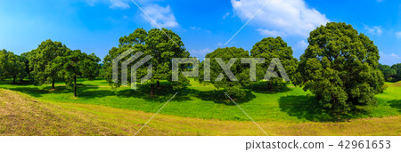 Panorama of Saitobaru Burial Mounds [West City of Miyazaki Prefecture] 42961653