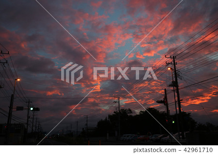 Sunflower sky Ibaraki prefecture Hitachinaka city 42961710