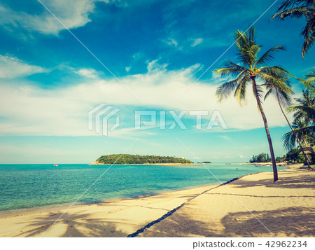 Beautiful tropical beach and sea with coconut palm tree 42962234