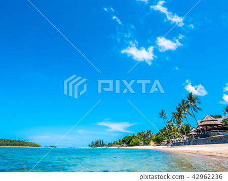 Beautiful tropical beach and sea with coconut palm tree 42962236