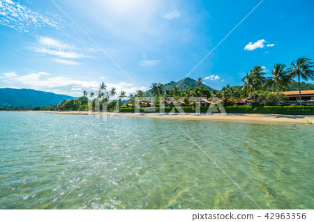 Beautiful tropical beach sea and sand with coconut palm tree on blue sky and white cloud 42963356