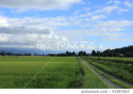 秋田內陸沿海鐵路夏天鄉下風景8月 42965667