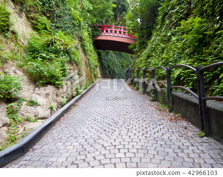 Enoshima Hill Enoshima Hill 42966103