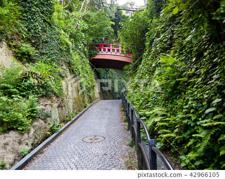 Enoshima Hill Enoshima Hill 42966105