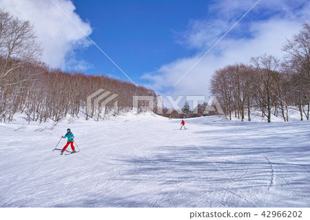 Beginner skier gliding over the ski slope 42966202