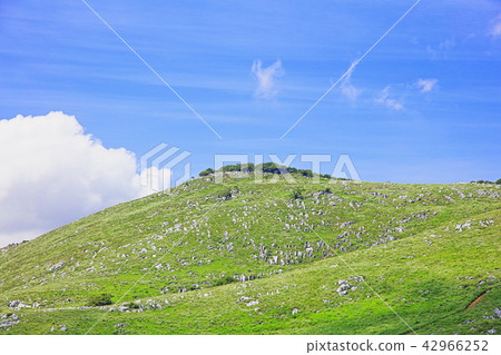 Hiraodai sheep Gunbara in clear weather and toward Fukiage Pass 42966252