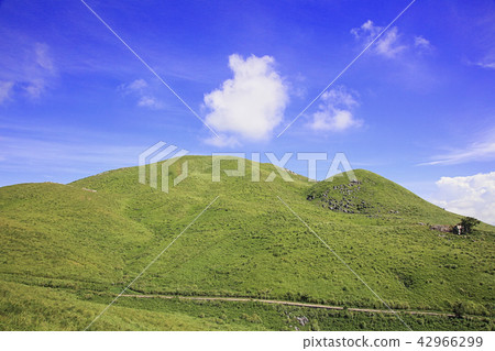 Clear sky Hiraedai blue sky and white clouds and grassy green 42966299