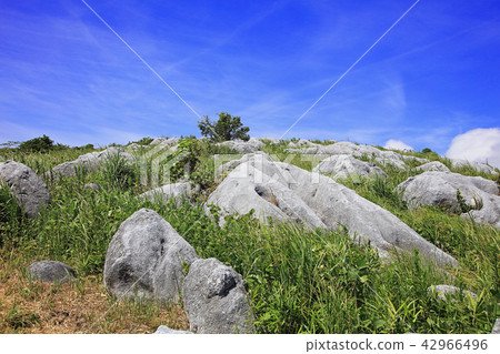 Limestone in Hiraodai sheep in fine weather 42966496