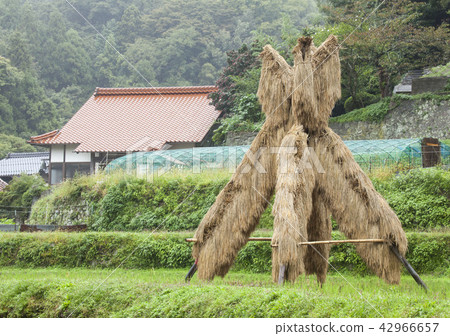 Yosukehade - Shape of dried rice that passes to Yuri Nishida in Ota-shi Yosukehade - Shape of dried rice that passes to Yuri Nishida in Ota-shi 42966657