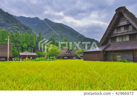 Autumn's Gokayama village in Suganuma Autumn's Gokayama village in Suganuma 42966872