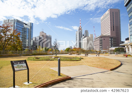 屋頂花園“知識與治療花園” 42967623