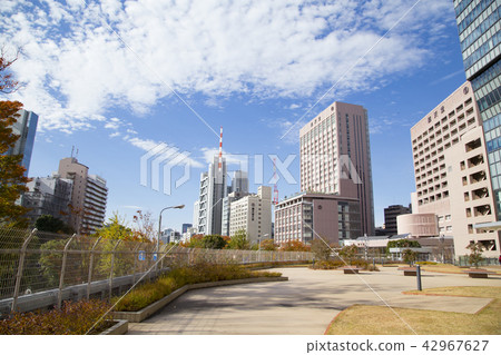 屋頂花園“知識與治療花園” 42967627