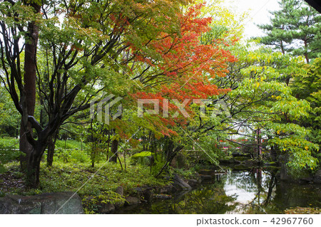 Inogi Mori Park森林和水域 Inogi Mori Park森林和水域 42967760
