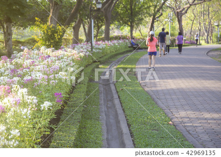 Flower with blurred running people Flower with blurred running people 42969135