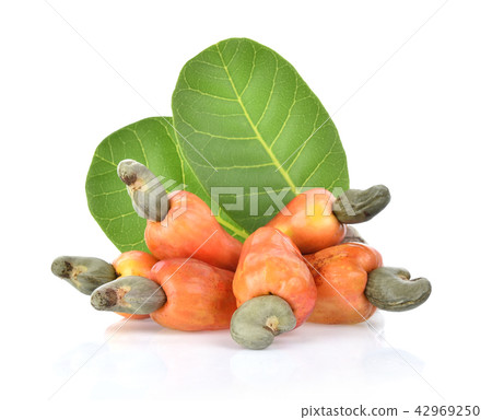 red cashew fruit isolated on white background red cashew fruit isolated on white background 42969250