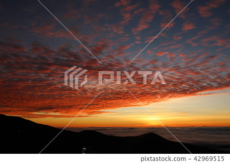 At dawn in Mauna Kea 42969515