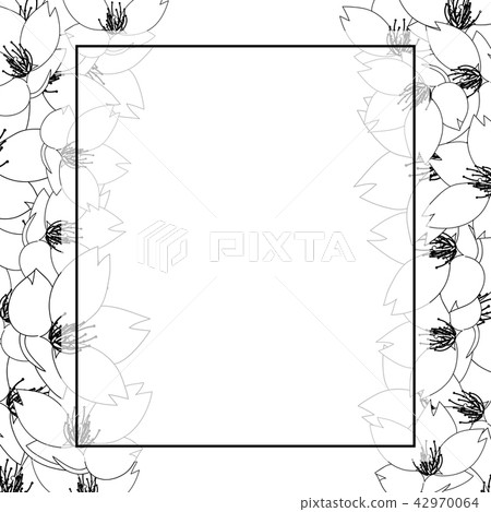 Sakura Cherry Blossom Outline Banner Card Border Sakura Cherry Blossom Outline Banner Card Border 42970064