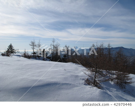 Snowyama snowy field Snowyama snowy field 42970446