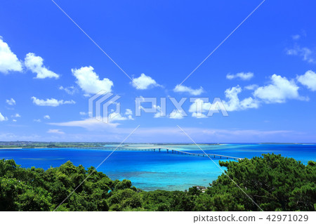 伊拉布島（牧山觀景台）的風景 42971029