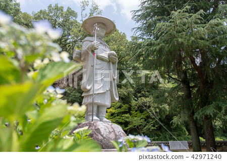 Hydrangea of Kuanji Temple 42971240
