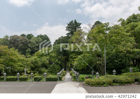 Hydrangea of Kuanji Temple Hydrangea of Kuanji Temple 42971242