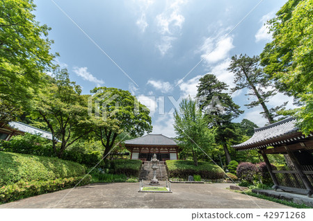 Kuanji寺的繡球花 Kuanji寺的繡球花 42971268