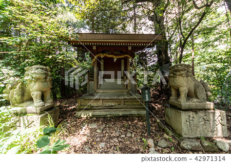 Kuanji寺的繡球花 42971314