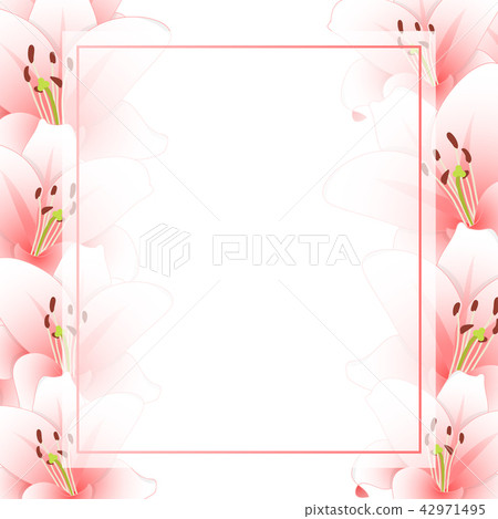 Pink Lily Flower Banner Card Border Pink Lily Flower Banner Card Border 42971495